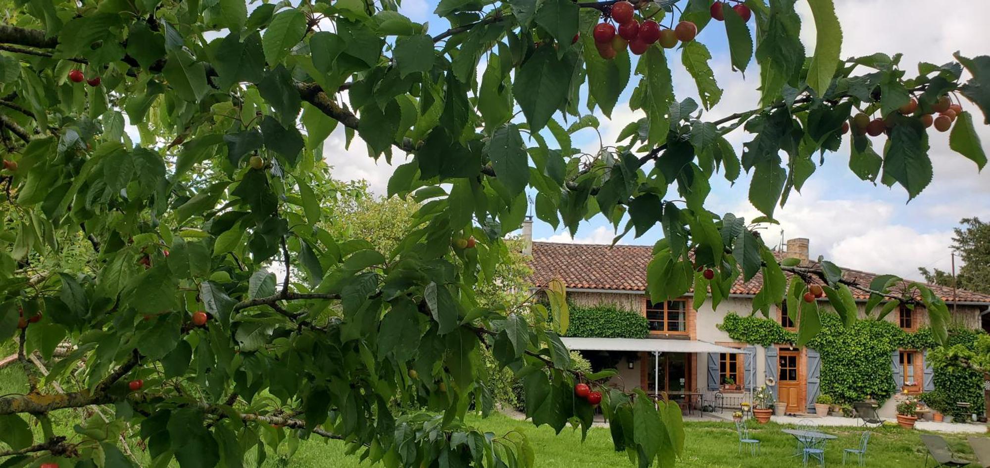 B&B La Ferme De Loubens Екстер'єр фото